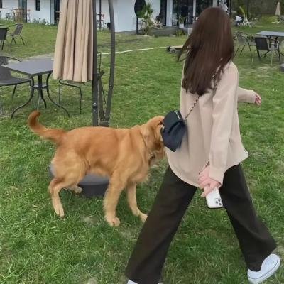 恶魔的游乐场